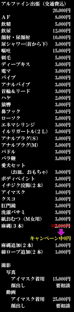 オプション料金